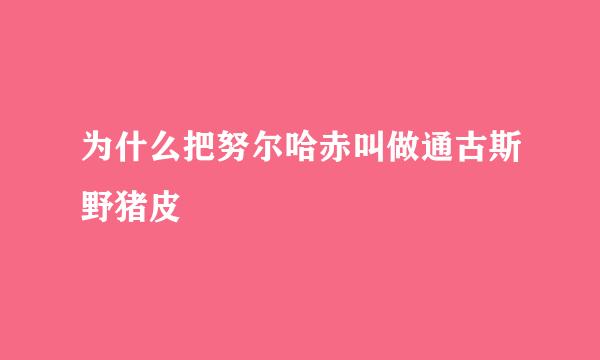 为什么把努尔哈赤叫做通古斯野猪皮