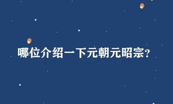 哪位介绍一下元朝元昭宗？