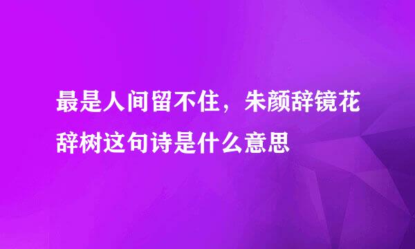 最是人间留不住，朱颜辞镜花辞树这句诗是什么意思