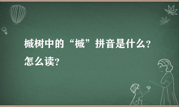 槭树中的“槭”拼音是什么？怎么读？