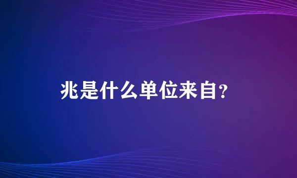 兆是什么单位来自？