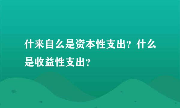 什来自么是资本性支出？什么是收益性支出？