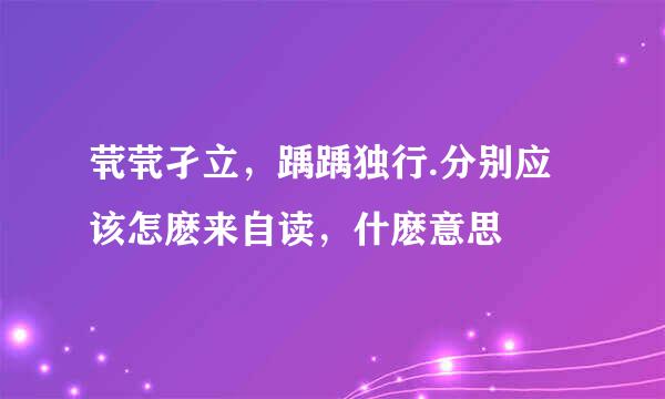 茕茕孑立，踽踽独行.分别应该怎麽来自读，什麽意思