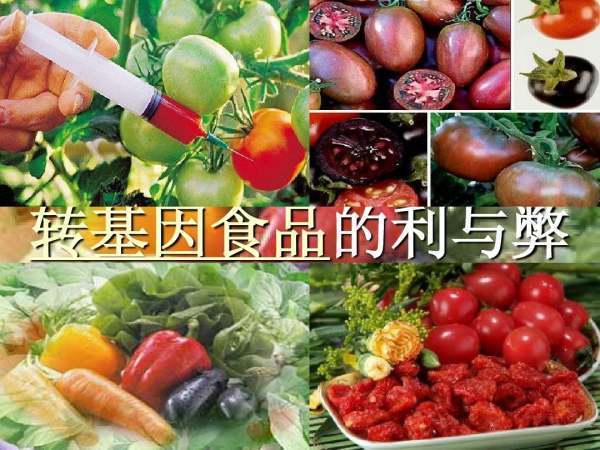 转基因食品的利与弊都有什么？