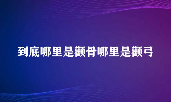 到底哪里是颧骨哪里是颧弓