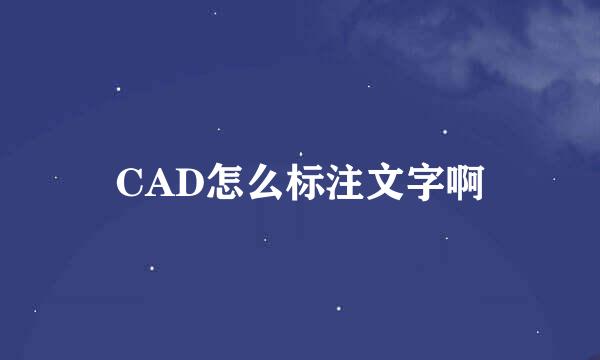 CAD怎么标注文字啊