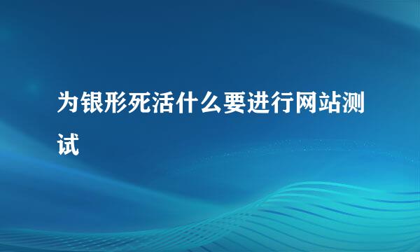 为银形死活什么要进行网站测试