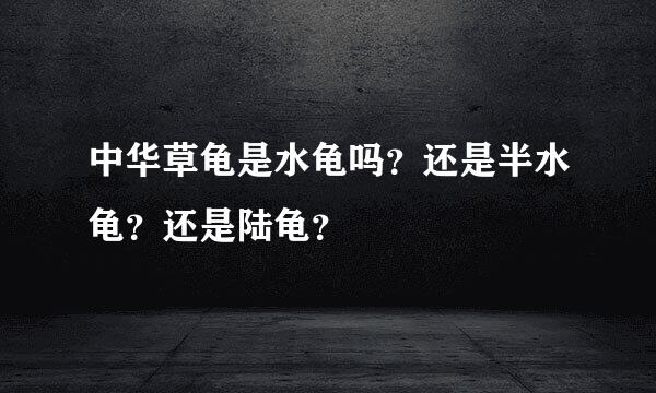 中华草龟是水龟吗？还是半水龟？还是陆龟？