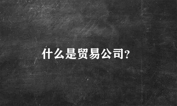 什么是贸易公司？