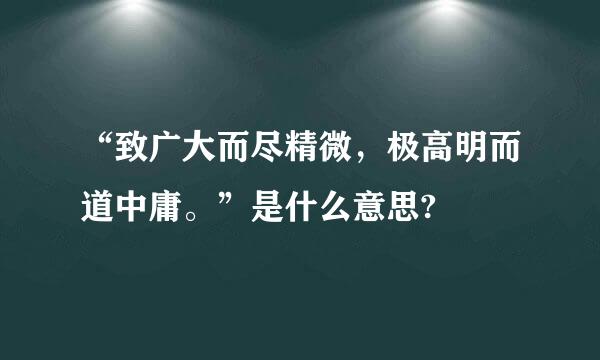 “致广大而尽精微，极高明而道中庸。”是什么意思?