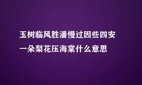 玉树临风胜潘慢过因些四安 一朵梨花压海棠什么意思