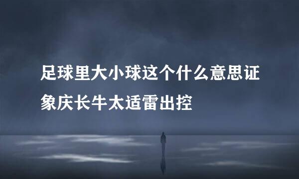 足球里大小球这个什么意思证象庆长牛太适雷出控