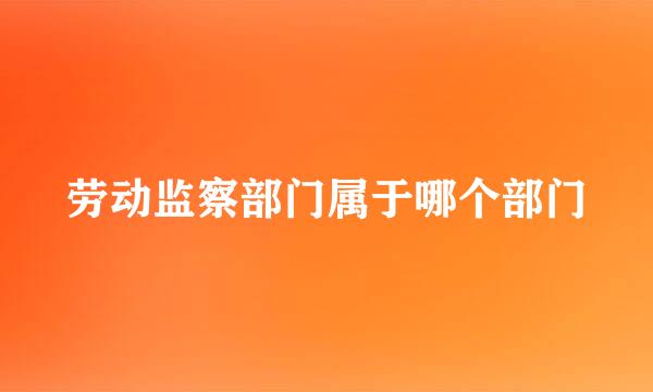 劳动监察部门属于哪个部门