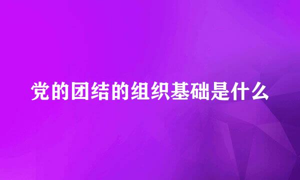 党的团结的组织基础是什么