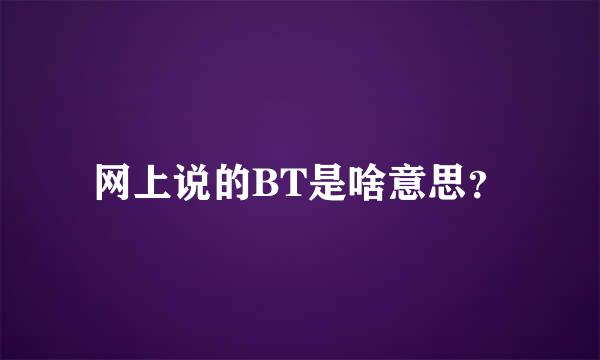 网上说的BT是啥意思？