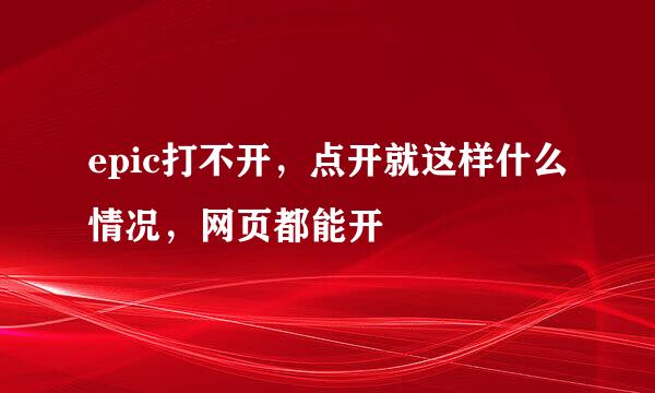 epic打不开，点开就这样什么情况，网页都能开