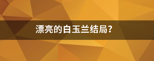 漂亮的白玉兰结局？