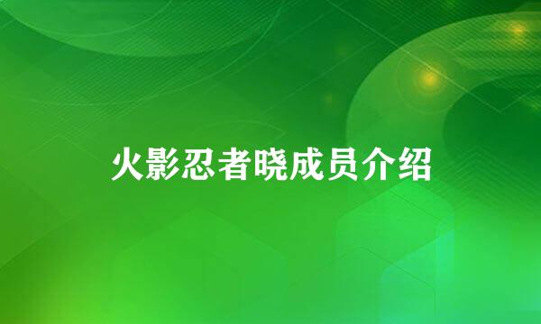 火影忍者晓成员介绍