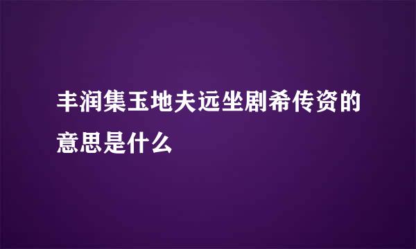 丰润集玉地夫远坐剧希传资的意思是什么