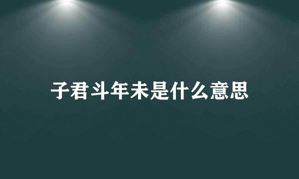 子君斗年未是什么意思