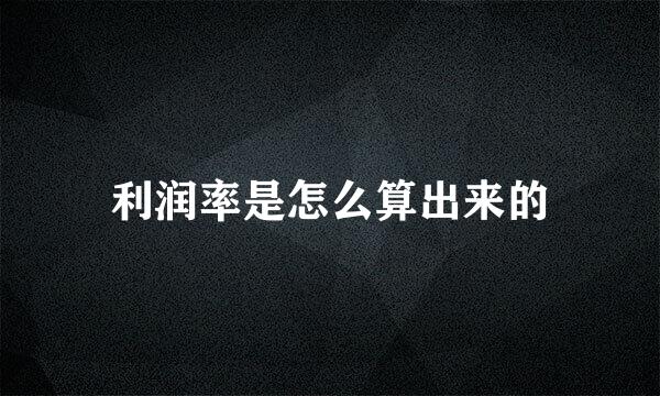 利润率是怎么算出来的