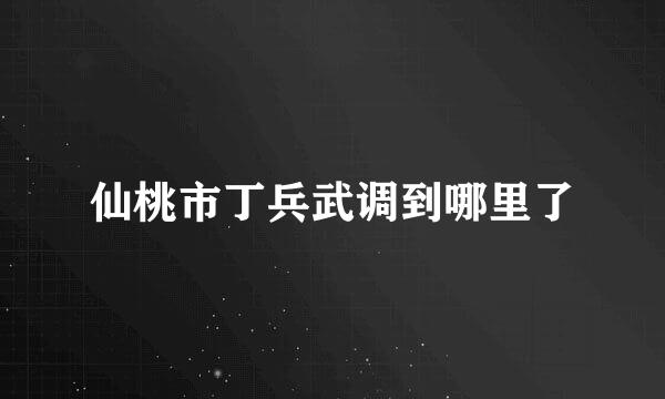 仙桃市丁兵武调到哪里了