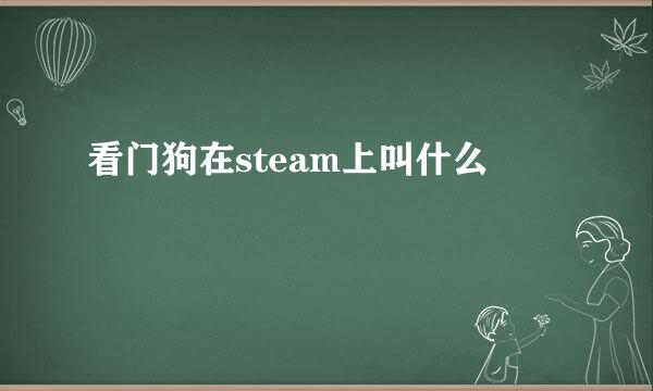 看门狗在steam上叫什么