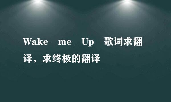 Wake me Up 歌词求翻译，求终极的翻译