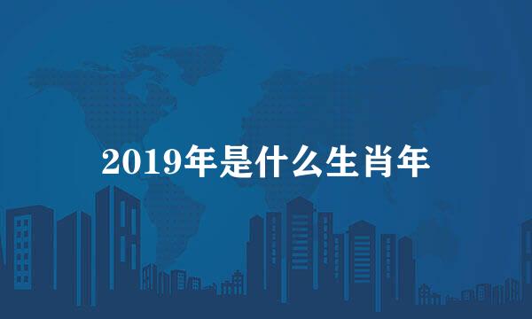 2019年是什么生肖年