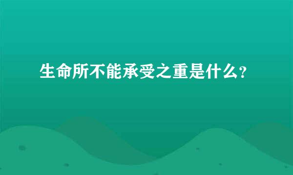 生命所不能承受之重是什么？