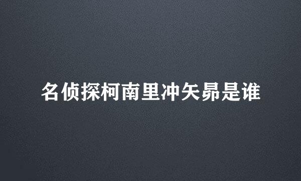 名侦探柯南里冲矢昴是谁