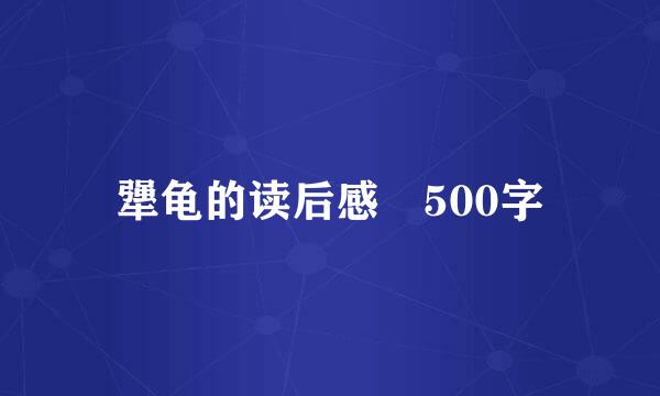 犟龟的读后感 500字