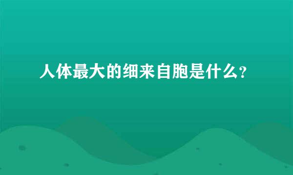 人体最大的细来自胞是什么？