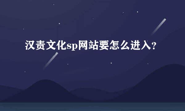 汉责文化sp网站要怎么进入？