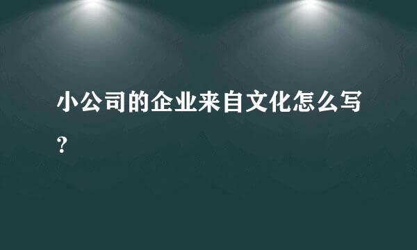 小公司的企业来自文化怎么写？