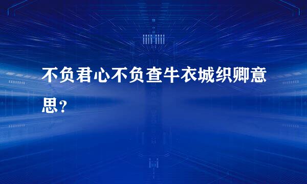 不负君心不负查牛衣城织卿意思？