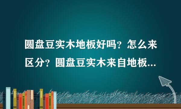 圆盘豆实木地板好吗？怎么来区分？圆盘豆实木来自地板优缺点有哪些？