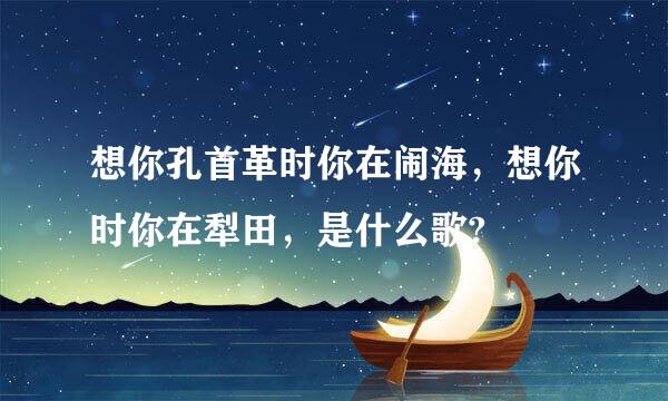 想你孔首革时你在闹海，想你时你在犁田，是什么歌?