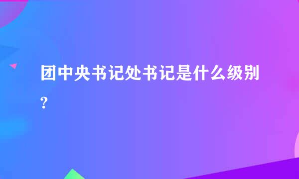 团中央书记处书记是什么级别?