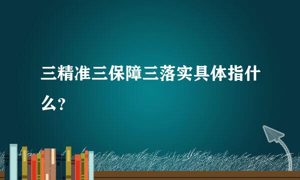 三精准三保障三落实具体指什么？