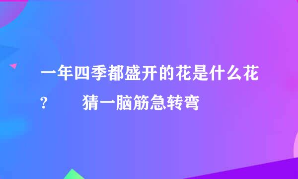 一年四季都盛开的花是什么花?  猜一脑筋急转弯