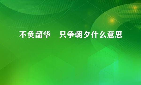 不负韶华 只争朝夕什么意思