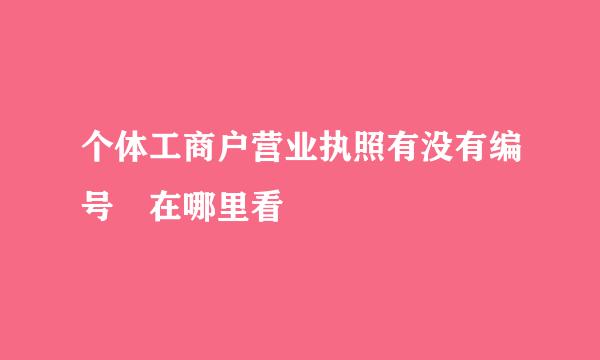 个体工商户营业执照有没有编号 在哪里看