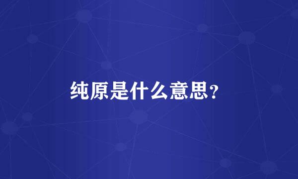 纯原是什么意思？