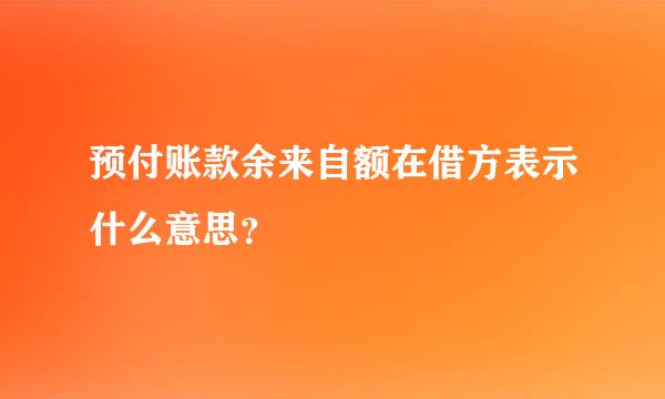 预付账款余来自额在借方表示什么意思？