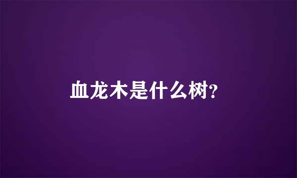 血龙木是什么树？