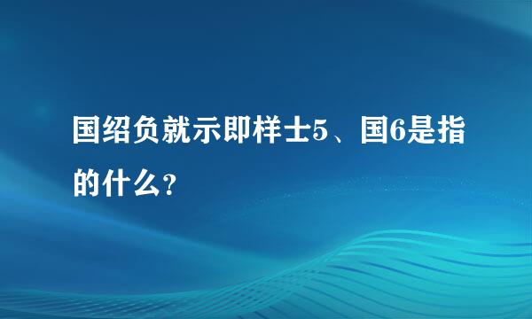 国绍负就示即样士5、国6是指的什么？