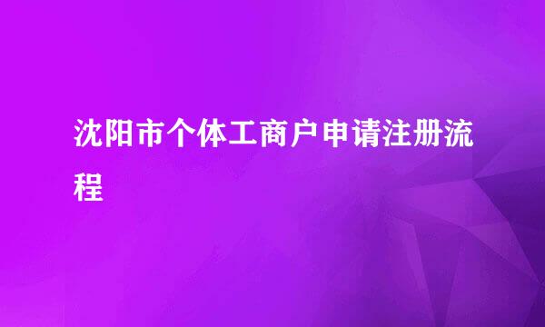 沈阳市个体工商户申请注册流程