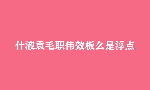 什液袁毛职伟效板么是浮点