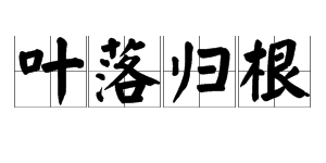 “叶落归根”和“落叶归根”怎么解释？是一样的意思吗？